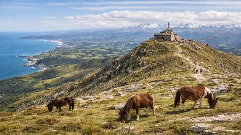 sommet de la rhune avec pottoks en liberté et vue panoramique sur la côte basque et les pyrénées lors d’une randonnée