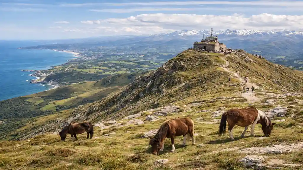 sommet de la rhune avec pottoks en liberté et vue panoramique sur la côte basque et les pyrénées lors d’une randonnée