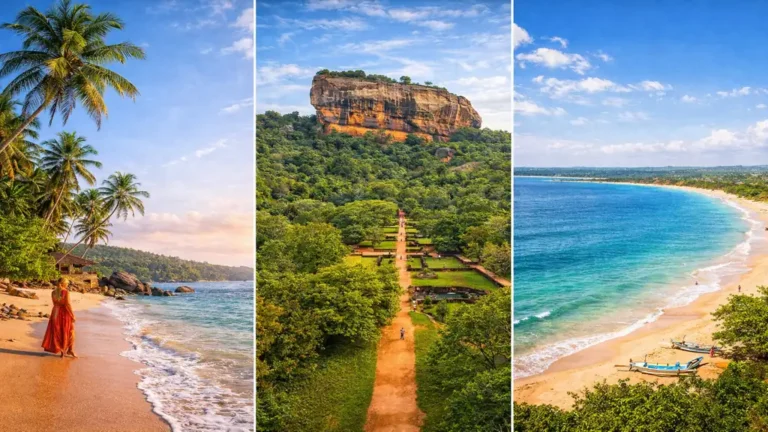 paysages du Sri Lanka avec plage tropicale au sud-ouest, rocher de Sigiriya et côte est illustrant les meilleures périodes pour voyager selon les régions
