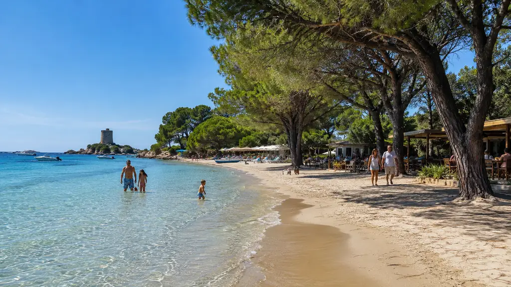 Plage de Pinarello en Corse-du-Sud avec eau turquoise, sable clair, pinède ombragée et tour génoise au loin