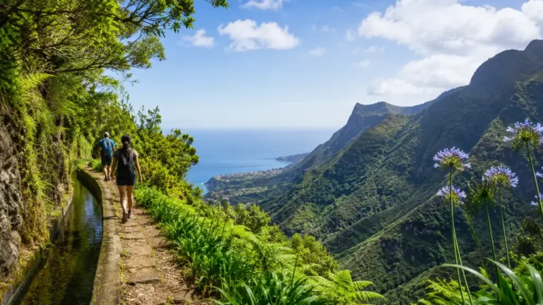 Randonnée sur une levada à Madère avec végétation luxuriante, montagnes verdoyantes et vue sur l’océan